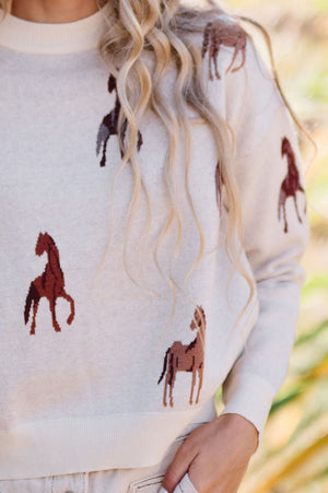 The Belmont Sweater | 3 colors |